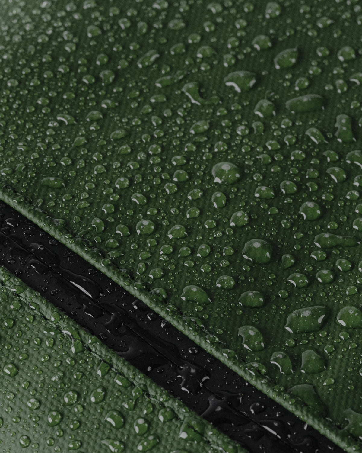 #color_forest