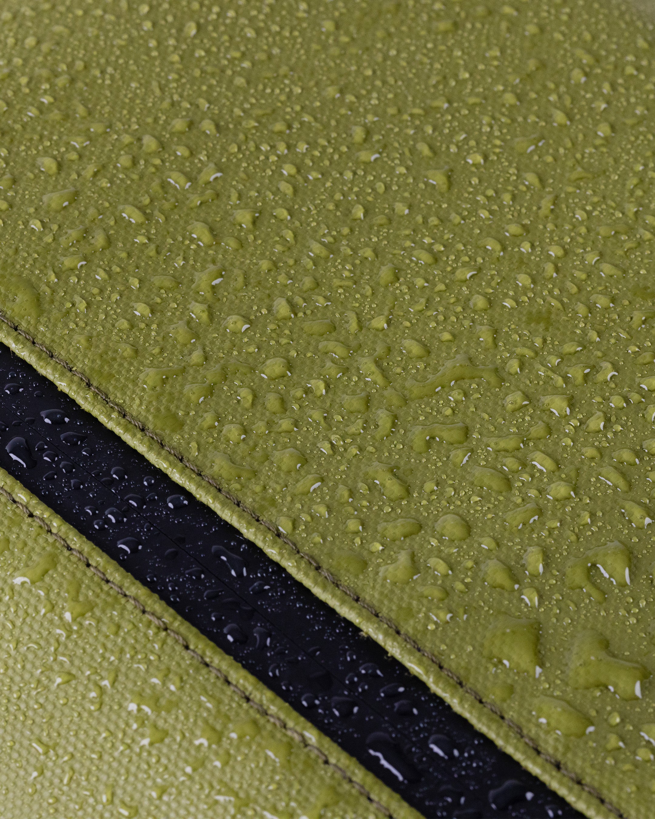 #color_olive