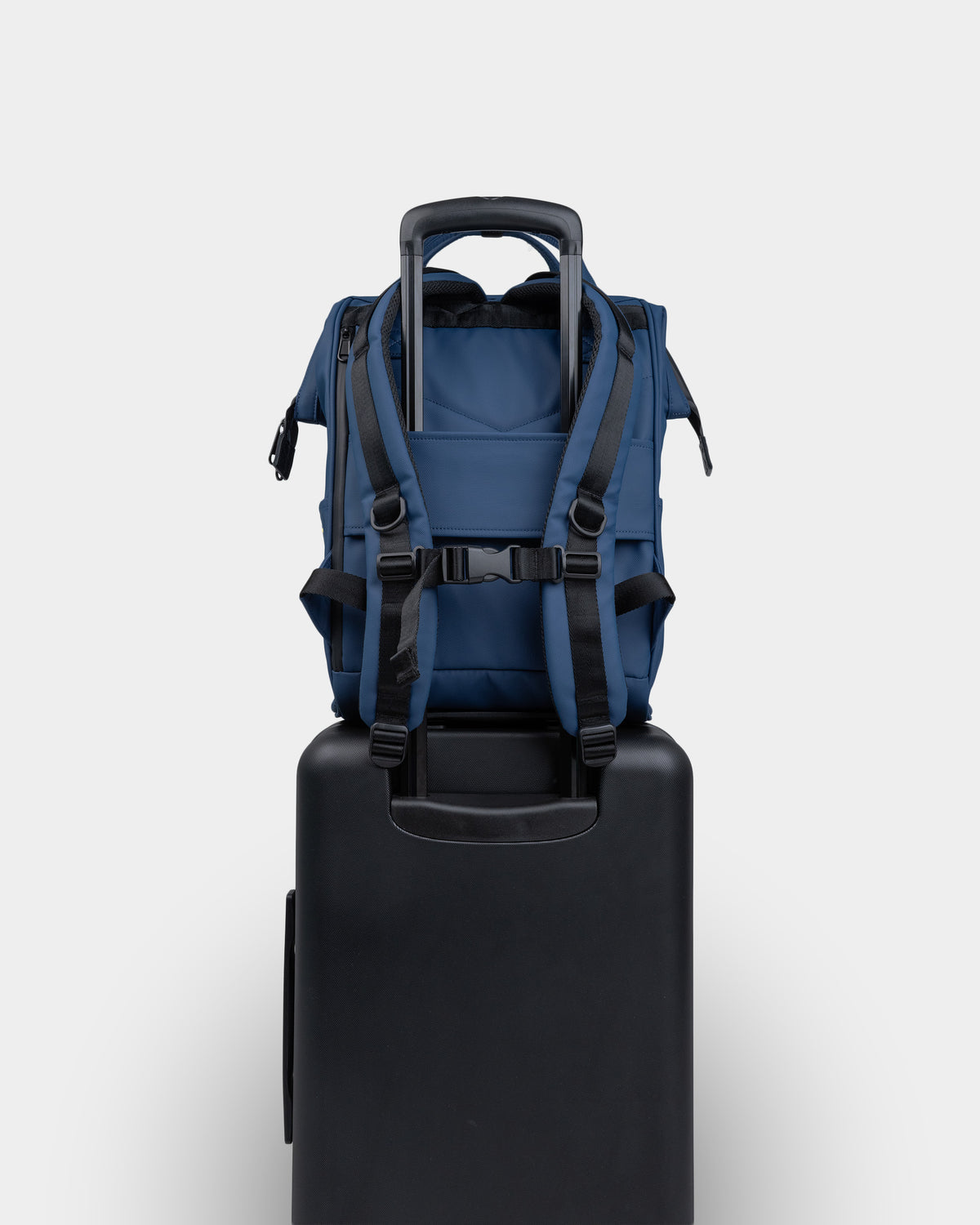 #color_navy