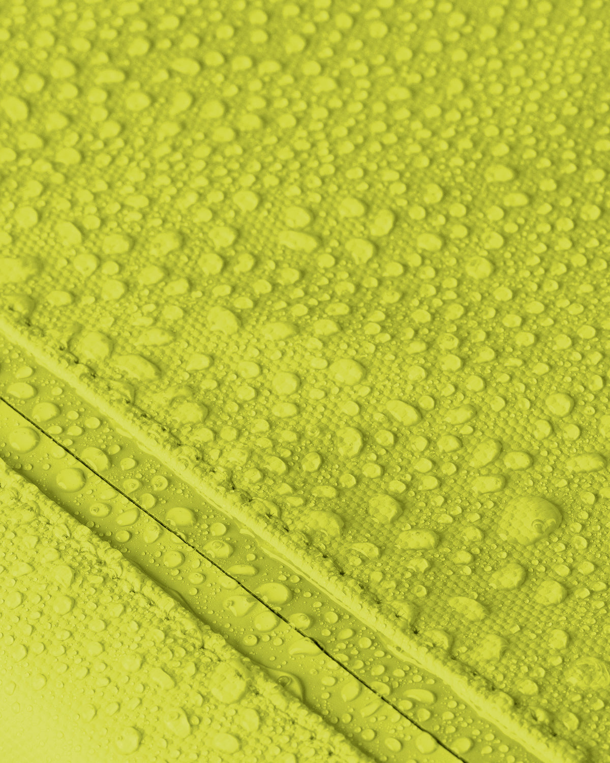 #color_lime